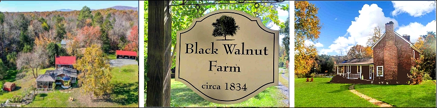 Black Walnut Farm